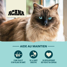 Charger l'image dans la galerie, ACANA Chat Pêche abondante
