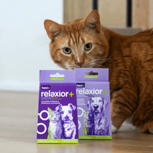 Charger l'image dans la galerie, Baci+ Relaxior+ pour chien &amp; chat
