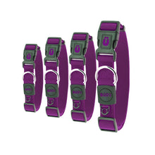 Charger l'image dans la galerie, Bud'z Collier ajustable en nylon pour chien - Mauve
