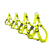Charger l'image dans la galerie, Bud'z Harnais ajustable en nylon pour chien - Jaune néon
