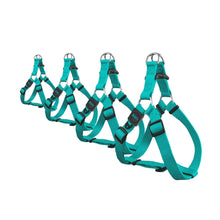 Charger l'image dans la galerie, Bud'z Harnais ajustable en nylon pour chien - Turquoise
