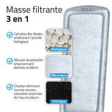 Charger l'image dans la galerie, Cartouches filtrantes de polyester/charbon LIV Fluval - Paquet de 3
