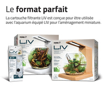 Charger l'image dans la galerie, Cartouches filtrantes de polyester/charbon LIV Fluval - Paquet de 3
