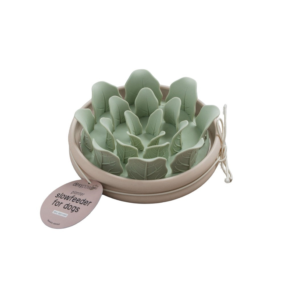 Dexypaws Bol ralentisseur en silicone pour chien 8 oz - Forme de laitue