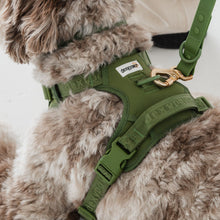Charger l&#39;image dans la galerie, Dexypaws Harnais sans traction pour chien - Vert Camouflage
