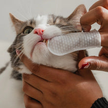 Charger l'image dans la galerie, Dexypaws Lingettes doigt pour chat - Soins Dentaires - Sans parfum - Paquet de 100
