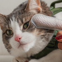 Charger l&#39;image dans la galerie, Dexypaws Lingettes doigt pour chat - Soins des yeux, oreilles &amp; nez - Sans parfum
