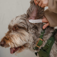 Charger l&#39;image dans la galerie, Dexypaws Lingettes doigt pour chien - Soins des yeux, oreilles &amp; nez - Sans parfum

