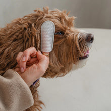 Charger l&#39;image dans la galerie, Dexypaws Lingettes doigt pour chien - Soins des yeux, oreilles &amp; nez - Sans parfum
