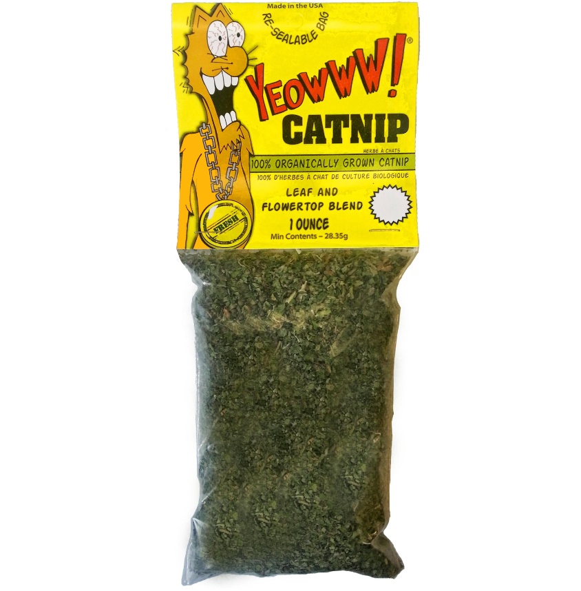 Herbe à Chat / Catnip  Produits de jardinage en ligne