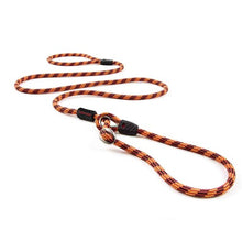 Charger l&#39;image dans la galerie, Ezydog Laisse Luca mince, Orange
