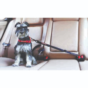 Ezydog Attache Click ajustable pour la voiture