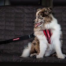 Charger l&#39;image dans la galerie, Ezydog Attache Click ajustable pour la voiture
