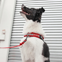 Charger l&#39;image dans la galerie, Ezydog Attache avant en &quot;D&quot; pour harnais &quot;Express&quot; ou &quot;Convert&quot;

