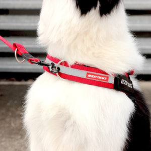 Ezydog Attache avant en "D" pour harnais "Express" ou "Convert"