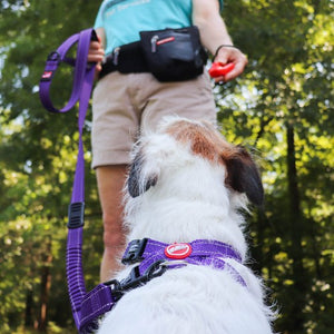 Ezydog Clicker de commande, Rouge