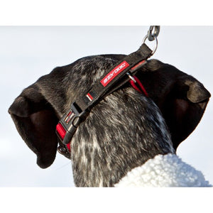 Ezydog Collier Checkmate, Noir