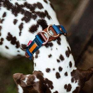 Ezydog Collier Double Up, Jeans