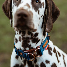 Charger l&#39;image dans la galerie, Ezydog Collier Double Up, Jeans
