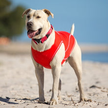 Charger l&#39;image dans la galerie, Ezydog Gilet avec protection UV Rashguard
