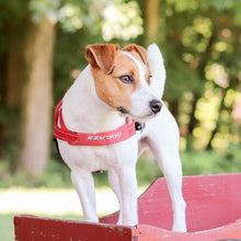 Charger l&#39;image dans la galerie, Ezydog Harnais &quot;Quick Fit&quot;, Bubble gum
