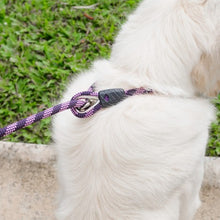 Charger l&#39;image dans la galerie, Ezydog Laisse Luca, Rouge
