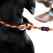 Charger l&#39;image dans la galerie, Ezydog Laisse Luca, Rouge
