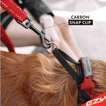 Charger l&#39;image dans la galerie, Ezydog Laisse Zero Shock, Noire
