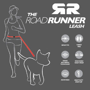 Ezydog Laisse de coureur, Orange