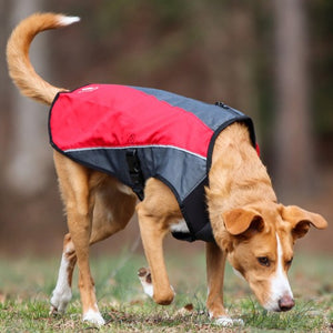 Ezydog Manteau Element