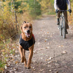 Ezydog Manteau Element