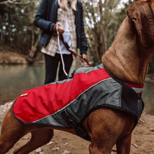 Charger l&#39;image dans la galerie, Ezydog Manteau Element
