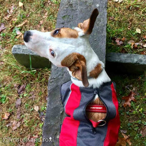 Ezydog Manteau Element