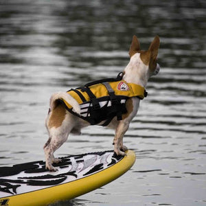 Ezydog Veste de flottaison DFD Micro pour petit chien, Jaune