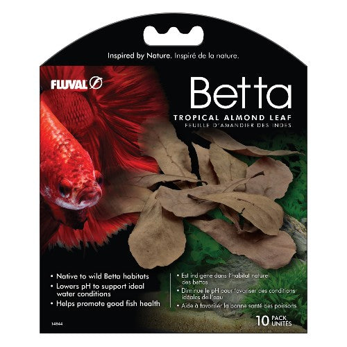 Feuilles Betta d’amandier des Indes, paquet de 10