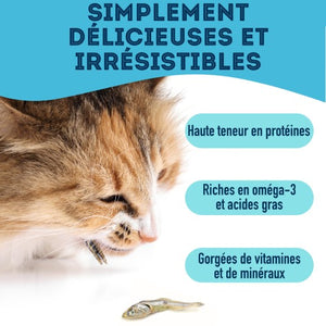 Granville Island - Gâteries de sardines déshydratées pour chien et chat
