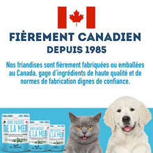 Charger l&#39;image dans la galerie, Granville Island - Gâteries de sardines déshydratées pour chien et chat

