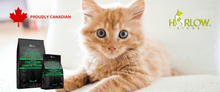 Charger l&#39;image dans la galerie, harlow blend nourriture pour chat_le_jardin_des_animaux_-_nourriture_canadienne_pour_chat
