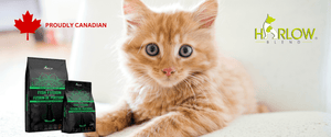harlow blend nourriture pour chat_le_jardin_des_animaux_-_nourriture_canadienne_pour_chat
