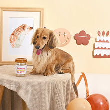 Charger l'image dans la galerie, Hugsmart "Yappy Birthday" Jouet en caoutchouc &amp; tissu craquant pour chien - Café d'anniversaire - Brun
