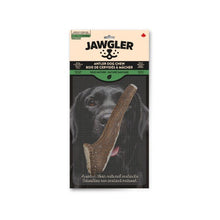 Charger l&#39;image dans la galerie, Jawgler Bois de cervidés à mâcher - Entier - Nature sauvage
