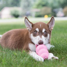 Charger l'image dans la galerie, Kong Puppy Jouet pour chiots - Couleur aléatoire (Rose ou bleu)

