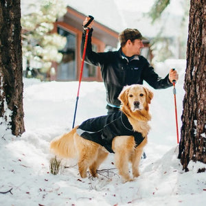 Kurgo Manteau pour chien North Country imperméable avec lumière, Noir