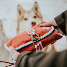 Charger l&#39;image dans la galerie, Kurgo Trousse de premier soins pour chien
