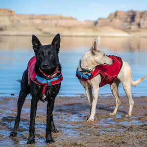 Kurgo Veste de sauvetage Surf'n'turf pour chien, Jaune