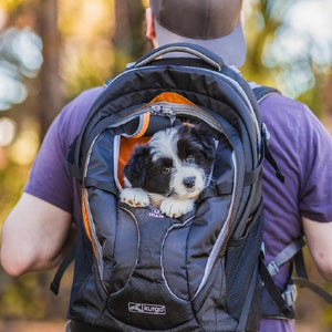 Kurgo Sac à Dos G-train, porte-chien, jusqu'à 25lbs