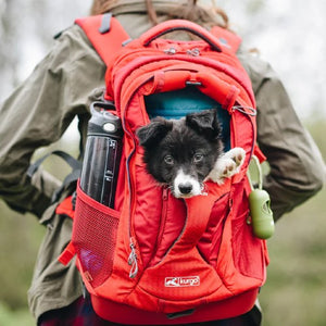 Kurgo Sac à Dos G-train, porte-chien, jusqu'à 25lbs