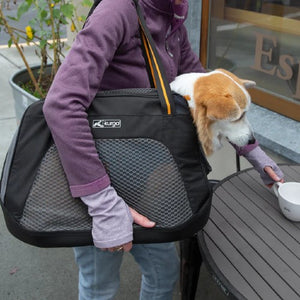 Kurgo sac de transport style explorateur