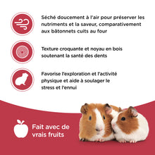 Charger l'image dans la galerie, Living World gâteries pour cochon d'inde - Bâtonnets aux fruits - paquet de 2 - 90 gr
