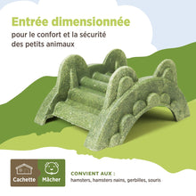 Charger l'image dans la galerie, Living World Cachette comestible - Pont en arc - Verte - 165 gr (5,8 oz)
